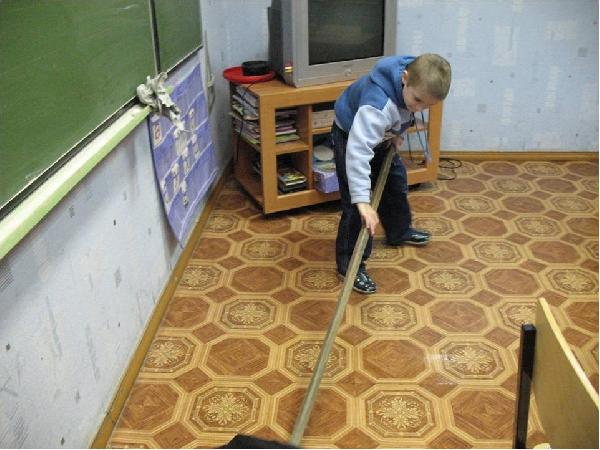 Трудовая деятельность