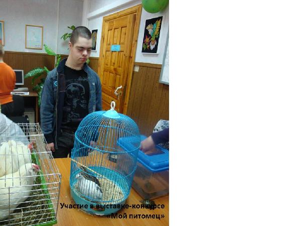 Мой питомец