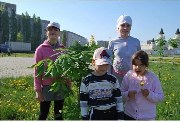 Экологические мероприятия