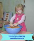 Работа с детьми с ОВР в детских садах