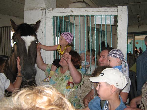 Путешествуем по родному краю