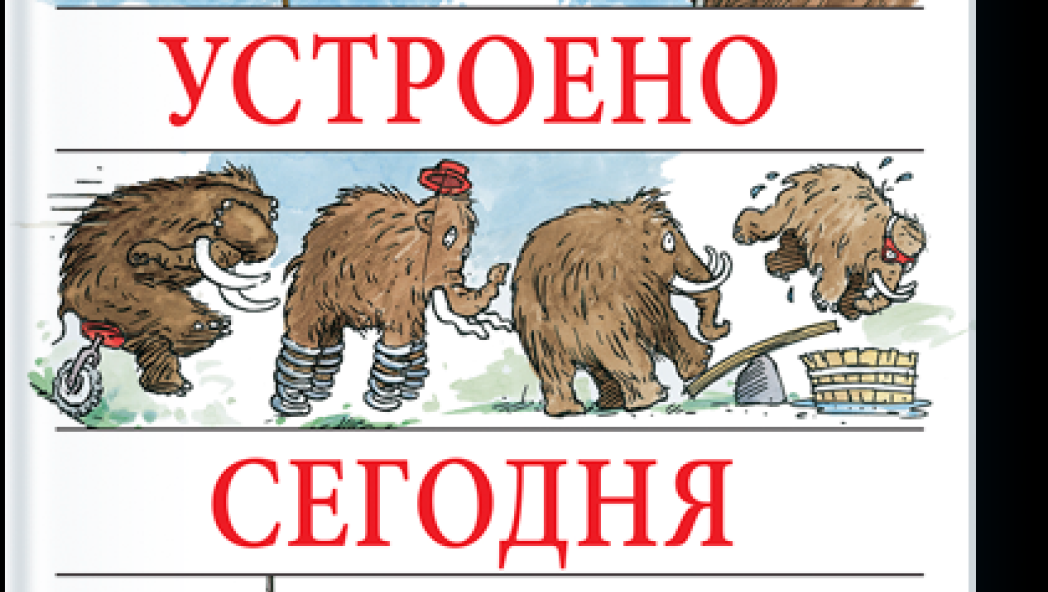 Дэвид Маколи (при участии Нила Ардли) «Как все устроено сегодня»
