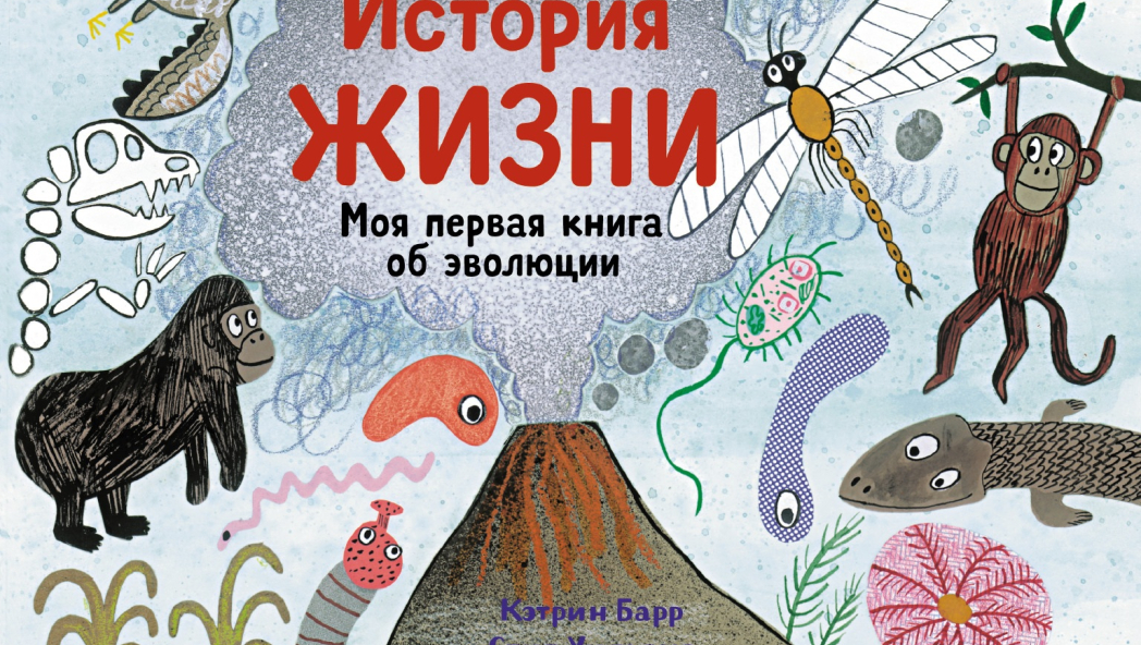 Кэтрин Барр «История жизни»